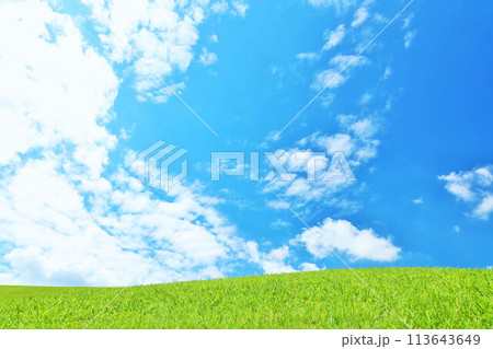爽やかな夏の青空と新緑の草原風景 爽やかな夏の青空と新緑の草原風景 113643649