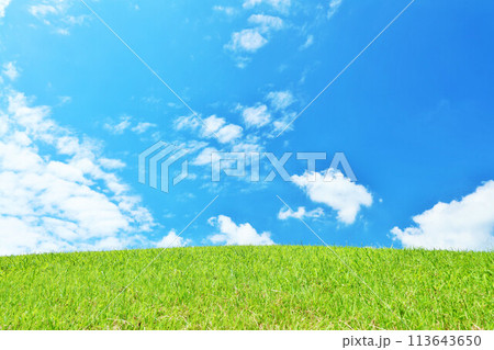 爽やかな夏の青空と新緑の草原風景 113643650