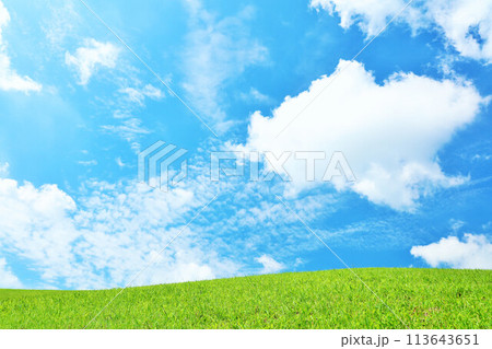 爽やかな夏の青空と新緑の草原風景 113643651
