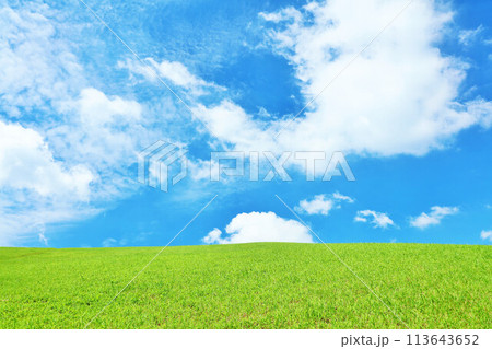 爽やかな夏の青空と新緑の草原風景 113643652