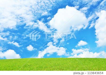 爽やかな夏の青空と新緑の草原風景 爽やかな夏の青空と新緑の草原風景 113643654