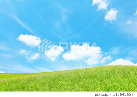 爽やかな夏の青空と新緑の草原風景 113643657
