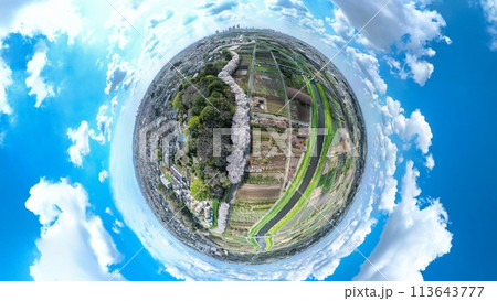 「埼玉県」360度カメラで撮影した春の見沼田んぼ 桜回廊 「埼玉県」360度カメラで撮影した春の見沼田んぼ 桜回廊 113643777
