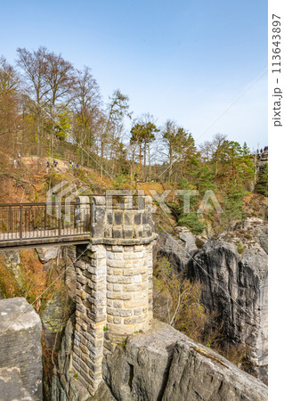 Bastei Bridge stands majestically among towering sandstone formations and lush greenery in Saxon Switzerland National Park, Germany 113643897