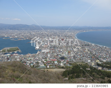 桜が満開の五稜郭まで見渡せる函館山山頂展望台（屋上展望台）からの春の眺め 113643965