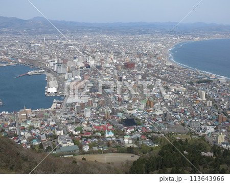 桜が満開の五稜郭まで見渡せる函館山山頂展望台（屋上展望台）からの春の眺め 113643966