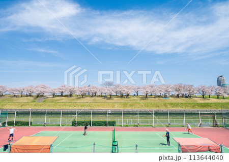「東京都」荒川赤羽桜堤緑地の桜並木とテニスコート 113644040
