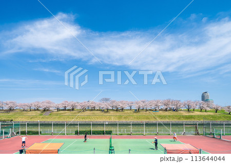 「東京都」荒川赤羽桜堤緑地の桜並木とテニスコート 113644044