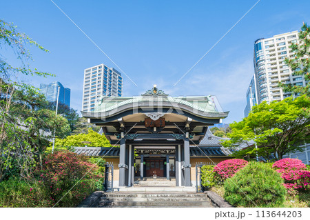 「東京都」新緑に囲まれた青松寺・港区  113644203