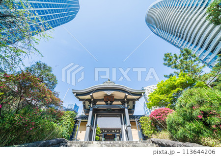 「東京都」新緑に囲まれた青松寺・港区  113644206