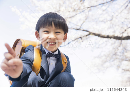 桜の木の下で指で1を出す小学1年生 入学イメージ 桜の木の下で指で1を出す小学1年生 入学イメージ 113644248