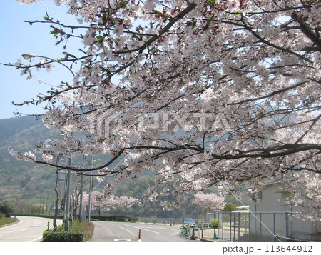2004年・香川・宇多津・風景・其の三十四 2004年・香川・宇多津・風景・其の三十四 113644912