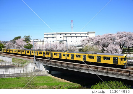 咲いた桜を背景に走る西武9000系　西武多摩湖線 113644956