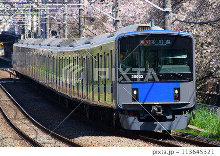 咲いた桜を背景に走る西武20000系21002F　西武新宿線 113645321