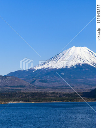 山梨県・本栖湖から見る青空と富士山の絶景 113645835