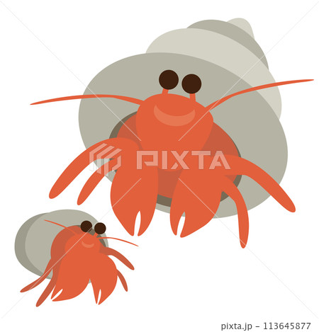 デフォルメしたかわいいヤドカリの親子のベクターイラスト 113645877