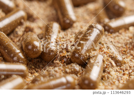 Wholesome medicinal herbal capsules with ground milk thistle powder closeup. Naturotherapy concept. Macro shot. Copy space 113646293