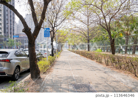 都市 町並み 台湾 都市 町並み 台湾 113646346