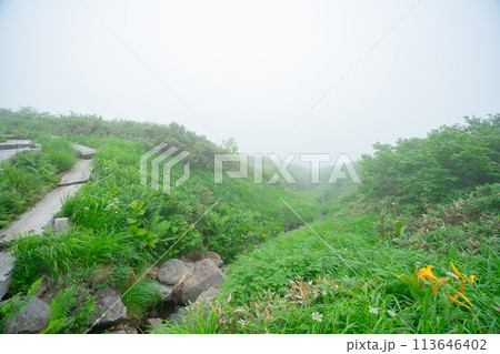 山形 月山 霊峰 登山 霧 山形 月山 霊峰 登山 霧 113646402