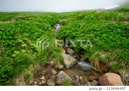 山形 月山 霊峰 登山 雲 小川 113646497