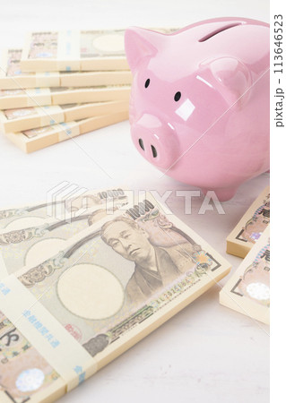 豚の貯金箱とお金 113646523