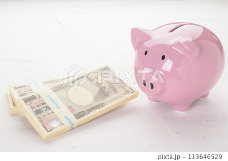 豚の貯金箱とお金 豚の貯金箱とお金 113646529