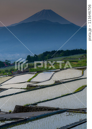 【初夏素材】夜明けの中野の棚田【山梨県】 113646706