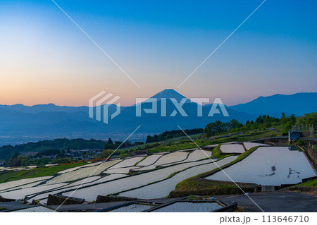 【初夏素材】夜明けの中野の棚田【山梨県】 113646710