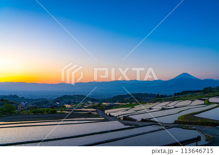 【初夏素材】夜明けの中野の棚田【山梨県】 【初夏素材】夜明けの中野の棚田【山梨県】 113646715