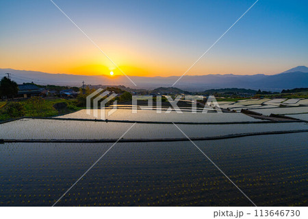 【初夏素材】夜明けの中野の棚田【山梨県】 【初夏素材】夜明けの中野の棚田【山梨県】 113646730
