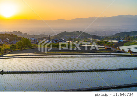 【初夏素材】夜明けの中野の棚田【山梨県】 113646734