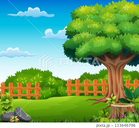 Nature landscape background with tree and fence 113646796