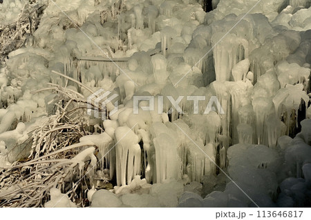 秩父横瀬町のあしがくぼの氷柱 113646817