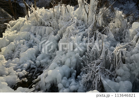 秩父横瀬町のあしがくぼの氷柱 秩父横瀬町のあしがくぼの氷柱 113646821