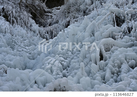 秩父横瀬町のあしがくぼの氷柱 秩父横瀬町のあしがくぼの氷柱 113646827