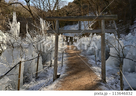 秩父横瀬町のあしがくぼの氷柱 秩父横瀬町のあしがくぼの氷柱 113646832