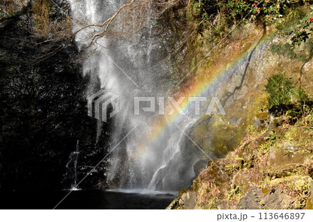 突風に吹かれる滝と虹 113646897