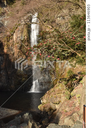 山間の大滝 山間の大滝 113646903