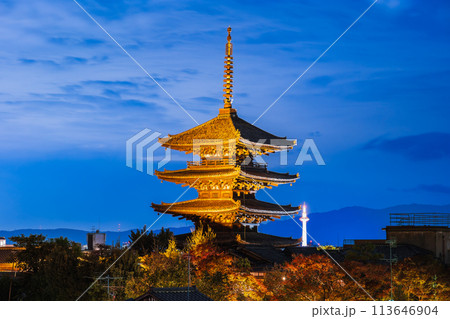 秋の京都 八坂の塔 夕夜景 秋の京都 八坂の塔 夕夜景 113646904