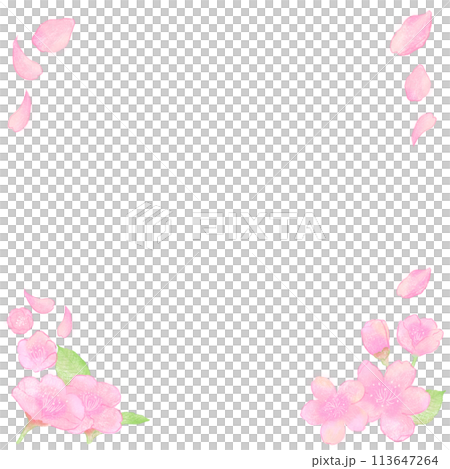 Hand-drawn square frame of cherry blossoms 113647264