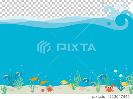 Vector illustration of an ocean full of fish Vector illustration of an ocean full of fish 113647443