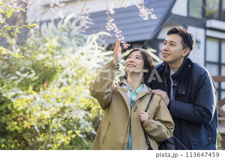 春に旅する若いカップル 春に旅する若いカップル 113647459