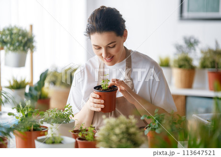 Woman caring for plants Woman caring for plants 113647521