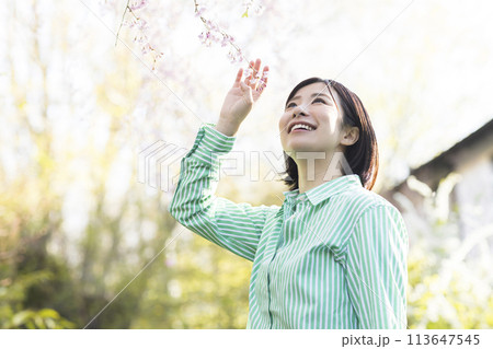 春を感じる可愛い女性 春を感じる可愛い女性 113647545