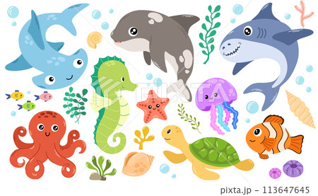 1790_fish_set 113647645