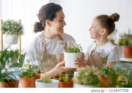 Family caring for plants Family caring for plants 113647706