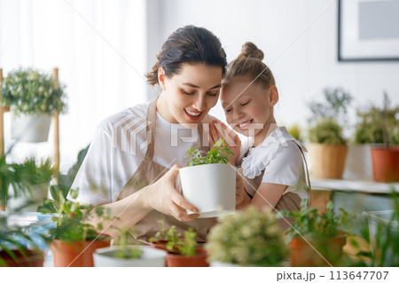 Family caring for plants 113647707