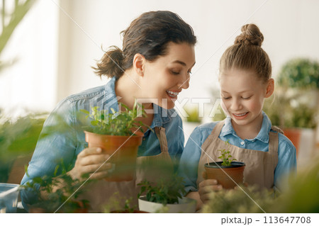 Family caring for plants Family caring for plants 113647708