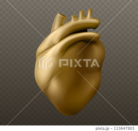 Golden human heart sculpture model. 113647803