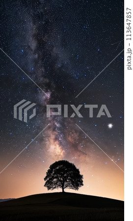 The Milky Way's stellar tapestry stretches above a solitary tree on a gentle slope, a spectacle of night-time enchantment. 113647857